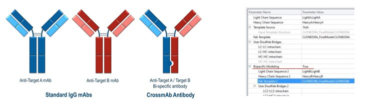 Model Full Lenght Antibodyプロトコルの機能強化