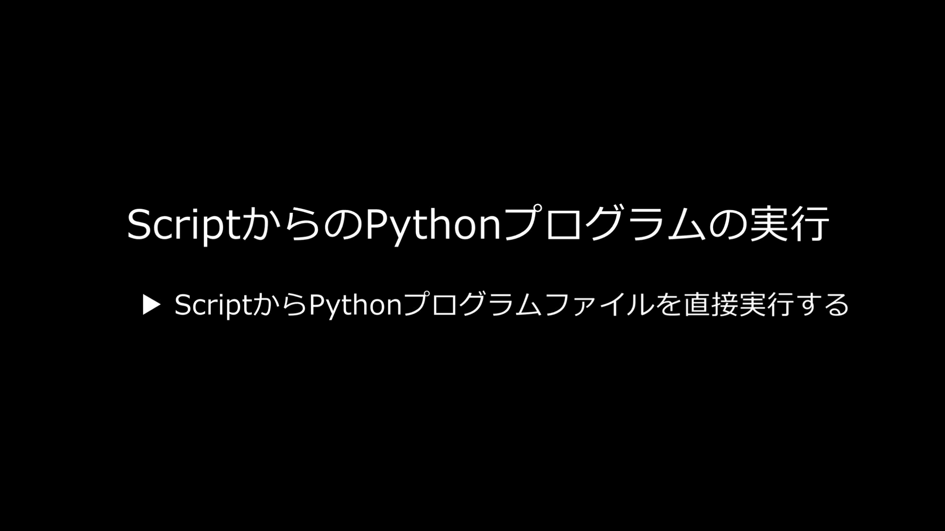 ScriptからのPythonプログラムの実行（Part4 P.7のサンプル動画　約40秒）の画面