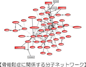 KeyMolnet分子ネットワーク